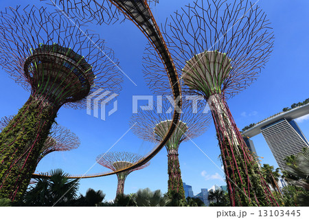 The Supertrees Grove at Gardens by the Bay 13103445