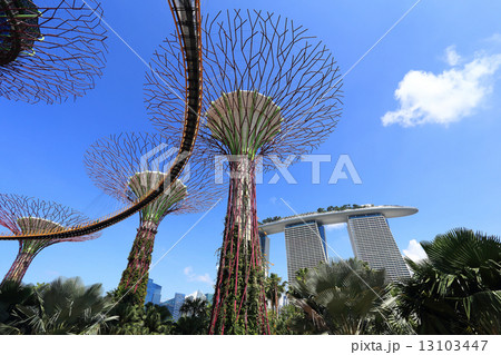 The Supertrees Grove at Gardens by the Bay 13103447