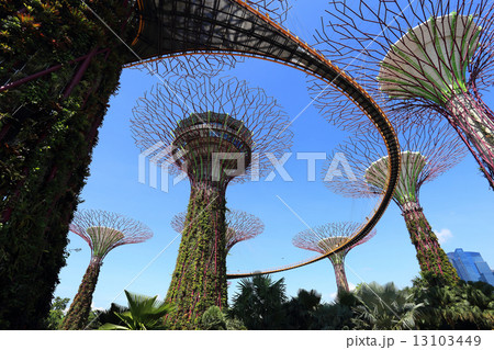 The Supertrees Grove at Gardens by the Bay 13103449