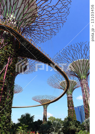 The Supertrees Grove at Gardens by the Bay 13103456