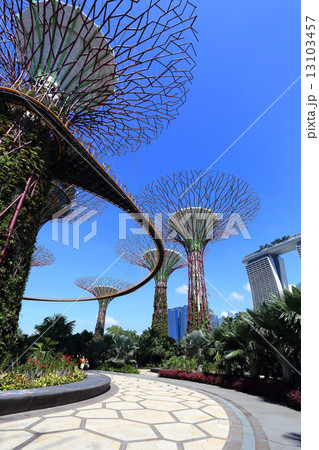 The Supertrees Grove at Gardens by the Bay 13103457