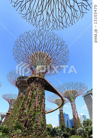 The Supertrees Grove at Gardens by the Bay 13103470