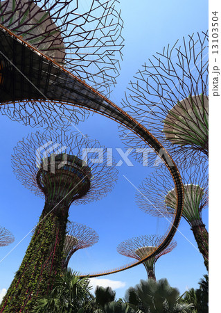The Supertrees Grove at Gardens by the Bay 13103504