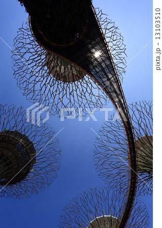 The Supertrees Grove at Gardens by the Bay 13103510