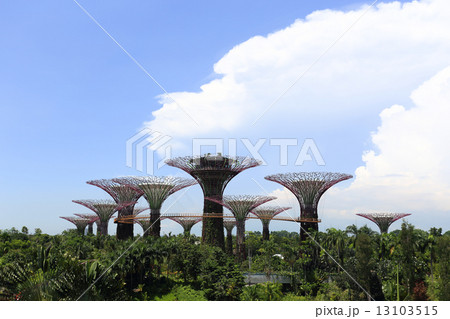 view of The Supertrees Grove at Gardens by the Bay 13103515