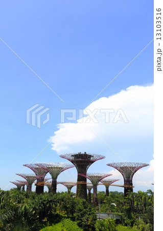 view of The Supertrees Grove at Gardens by the Bay view of The Supertrees Grove at Gardens by the Bay 13103516