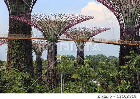 view of The Supertrees Grove at Gardens by the Bay 13103519