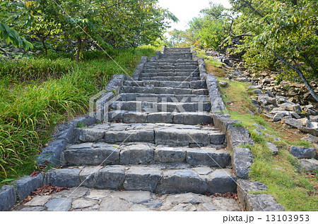 今帰仁城の大手道（沖縄県国頭郡今帰仁村） 13103953