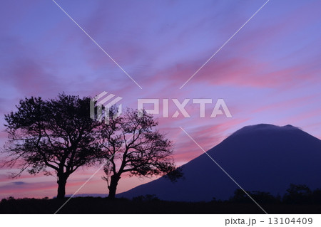 朝焼けを背負う羊蹄山 13104409