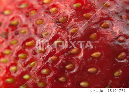 fresh strawberry 13104771