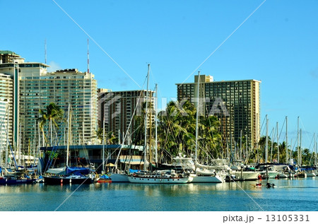 ハワイの休日 ハワイの休日 13105331