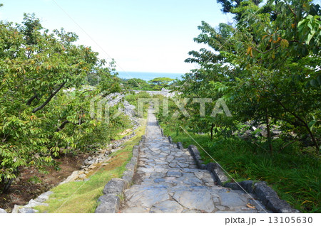 今帰仁城の大手道(沖縄県国頭郡今帰仁村) 今帰仁城の大手道(沖縄県国頭郡今帰仁村) 13105630
