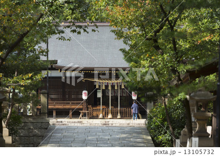 弓弦羽神社 弓弦羽神社 13105732
