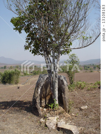 ジャール平原・壷形の石群(シエンクワーン県/ラオス) ジャール平原・壷形の石群(シエンクワーン県/ラオス) 13108163
