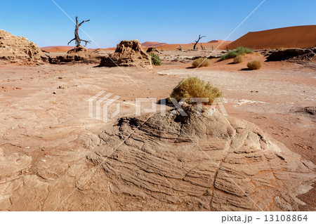 Sossusvlei beautiful landscape of death valley Sossusvlei beautiful landscape of death valley 13108864