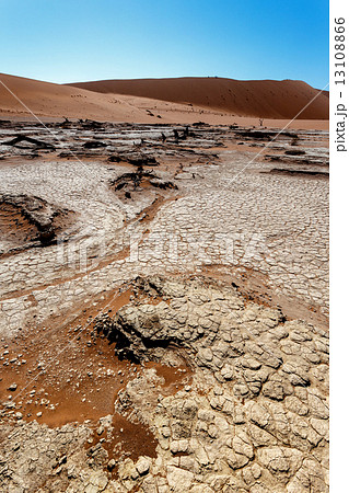 Sossusvlei beautiful landscape of death valley Sossusvlei beautiful landscape of death valley 13108866