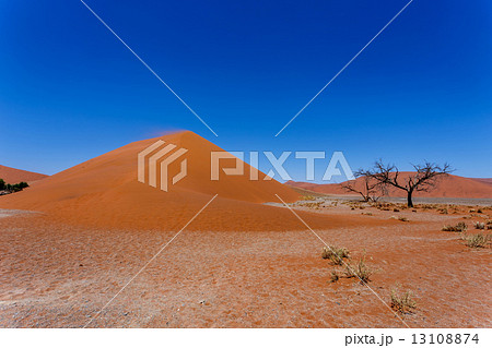 Dune 45 in sossusvlei NamibiaDune 45 in sossusvlei Namibia, view 13108874
