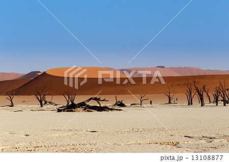 Sossusvlei beautiful landscape of death valley Sossusvlei beautiful landscape of death valley 13108877