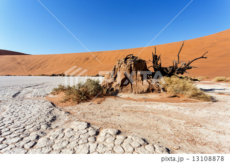 Sossusvlei beautiful landscape of death valley 13108878