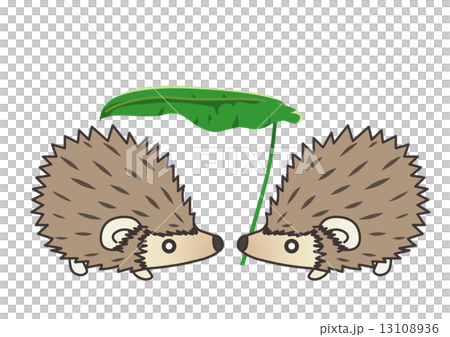 Hedgehog 13 13108936