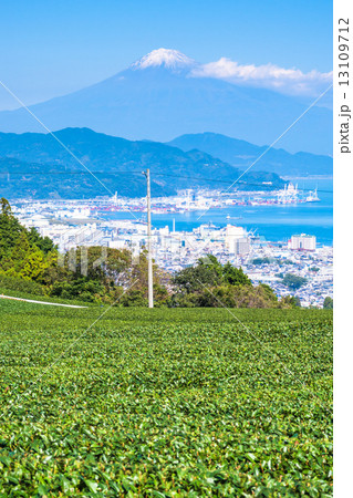 茶畑・富士 茶畑・富士 13109712