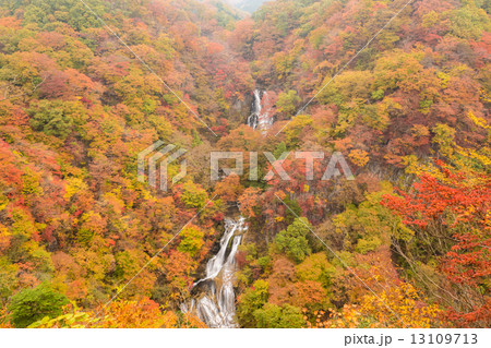 紅葉の霧降の滝 紅葉の霧降の滝 13109713