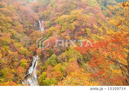 紅葉の霧降の滝 紅葉の霧降の滝 13109714