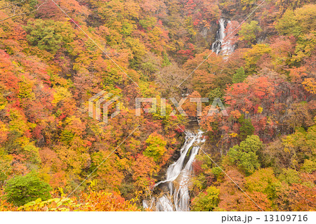 紅葉の霧降の滝 紅葉の霧降の滝 13109716