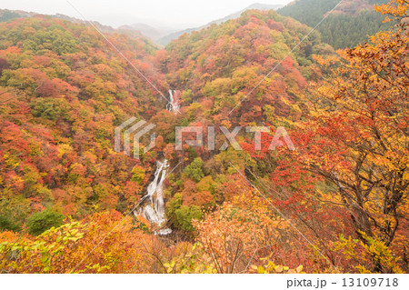 紅葉の霧降の滝 紅葉の霧降の滝 13109718