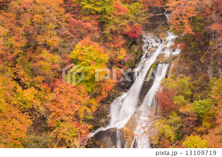 紅葉の霧降の滝 13109719