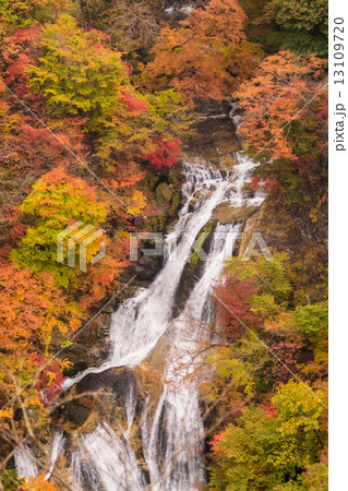 紅葉の霧降の滝 紅葉の霧降の滝 13109720