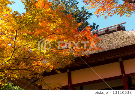 紅葉の常寂光寺 紅葉の常寂光寺 13110638
