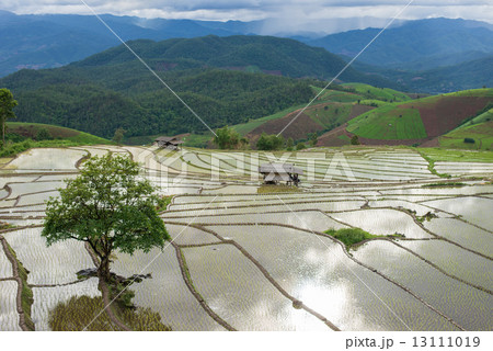 terraces field with farmer Mae Jam, Chiang Mai, Thailand 13111019