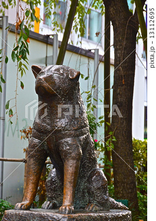 忠犬ハチ公の像 渋谷駅ハチ公口 東京都渋谷区 の写真素材
