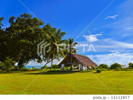 Canopy at tropical beach Canopy at tropical beach 13112857