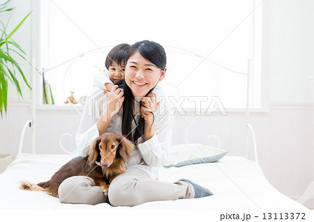 ペットと赤ちゃん 13113372