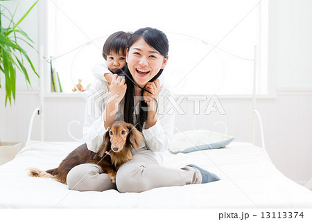 ペットと赤ちゃん 13113374