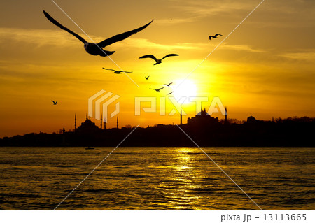 Istanbul Istanbul 13113665