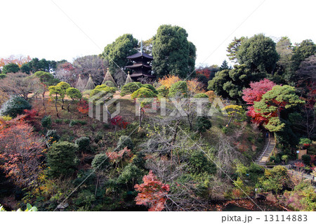椿山荘の紅葉 13114883