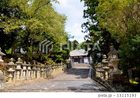 東大寺 境内の風景 東大寺 境内の風景 13115193