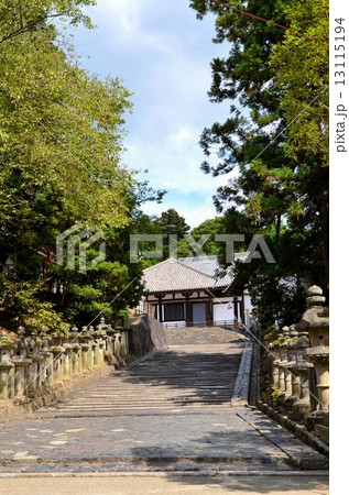 東大寺 境内の風景 東大寺 境内の風景 13115194