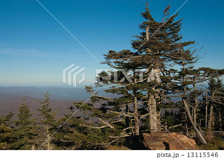 Appalachian Mountains from Mount Mitchell, the highest point in 13115546