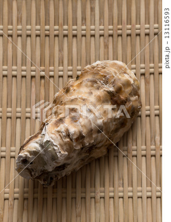 牡蠣 牡蠣 13116593