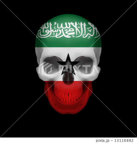 Somaliland flag skull Somaliland flag skull 13116882