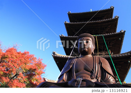 12月愛知 八事山興正寺・五重塔と平成大仏と紅葉 13116921