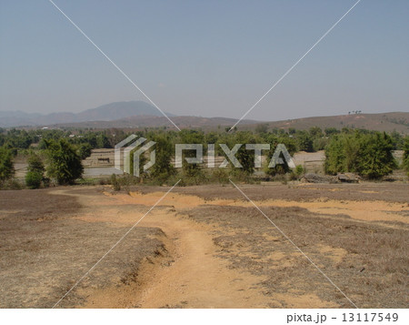 乾いた大地・道(ジャール平原/ラオス) 乾いた大地・道(ジャール平原/ラオス) 13117549