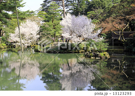 春の兼六園（瓢池） 13123293