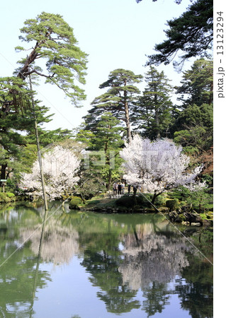 春の兼六園（瓢池） 13123294