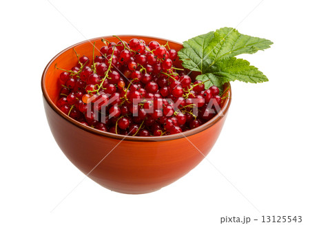 Red currant 13125543