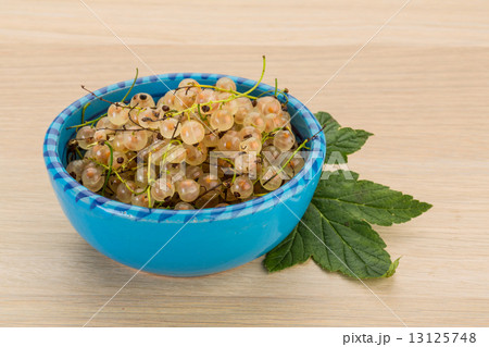 White currant White currant 13125748